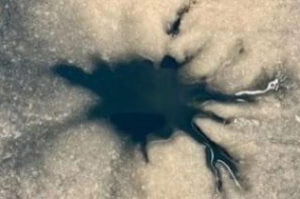 لغز
العنكبوت
الجليدى
على
قمر
أوروبا
يفتح
باب
البحث
عن
حياة
خارج
الأرض