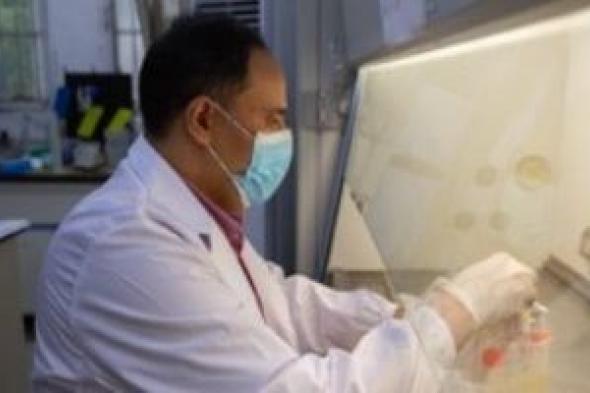 صحف
عالمية
تشيد
بمشروع
صندوق
أبحاث
سامح
سمير
على