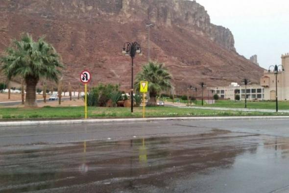 المرور:
الإطارات
السليمة
تعزز
السلامة
في
الأجواء
الماطرة