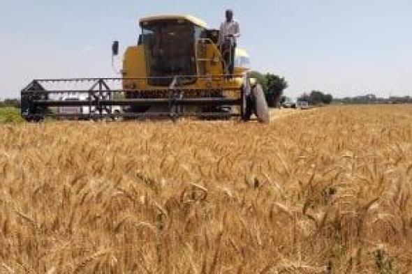 10
إجراءات
من
مركز
المناخ
لإنقاذ
القمح
المتأخر..
تعرف
عليها