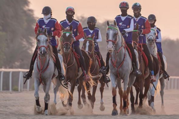 سباقات كأس صاحب السمو رئيس الدولة للقدرة تنطلق غدا بسباق "الإسطبلات الخاصة"