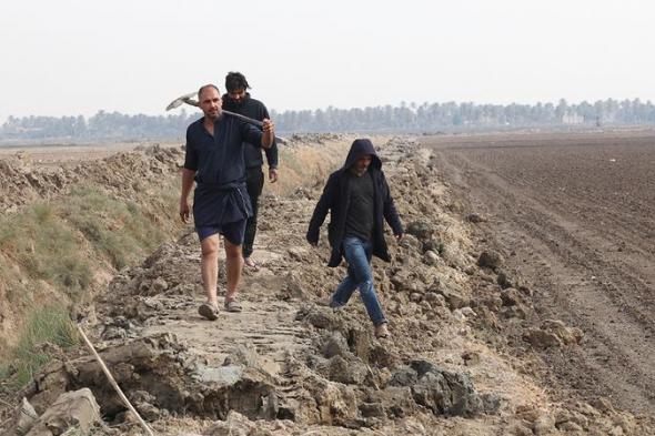 أزمة المياه تبدد أحلام العراق بالاكتفاء الذاتي من القمح