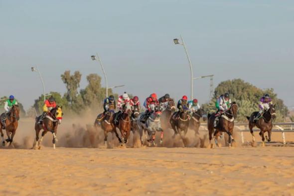 ميدان
    فروسية
    الجوف
    يختتم
    حفل
    السباقات
    الثالث
    بتتويج
    16
    فائزًا