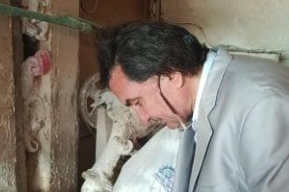 ضبط
وإعدام
أكثر
من
6
أطنان
أغذية
فاسدة
وغلق
149
منشأة
غير
مرخصة
بالشرقية