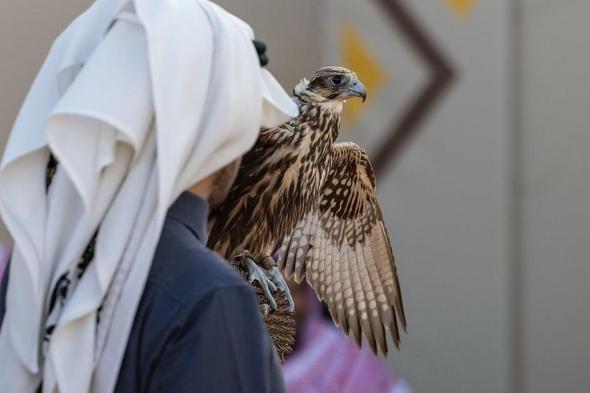 227
    صقرًا
    تتنافس
    في
    7
    أشواط
    للهواة
    المحليين
    بمهرجان
    الملك
    عبدالعزيز
    للصقور
    2025