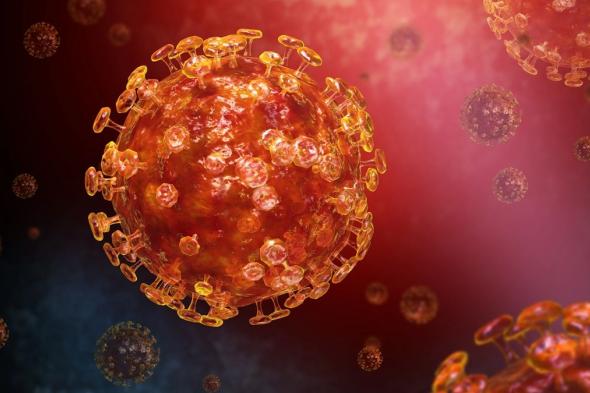 السعودية تنفي وجود مؤشرات لتفشٍ جديد لفيروس «ميرس»: تقرير «الصحة العالمية» لا يدعو للقلق