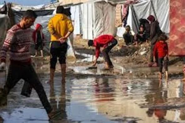 قسوة
      الشتاء
      تُضاعف
      "الكارثة
      الإنسانية"
      في
      غزة..
      البرد
      القارس
      يزيد
      معاناة
      السكان
      و"يوقع
      قتلى"