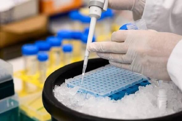 روسيا
      تبتكر
      مركباً
      عضوياً
      يلون
      البكتيريا