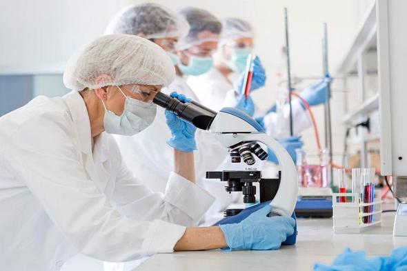 باحثون
    صينيون
    يطورون
    نموذجًا
    جديدًا
    للتنبؤ
    بشيخوخة
    الأعضاء
    البشرية