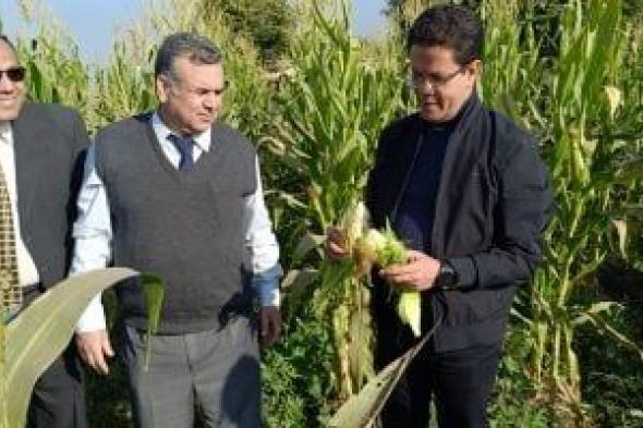 رئيس
جامعة
بنها:
نسعى
لتعزيز
وزيادة
العائد
الاقتصادي
للوحدات
الإنتاجية