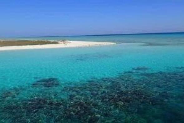 بعيون
رقمية..
كيف
تدار
أكبر
محمية
طبيعية
فى
مصر؟