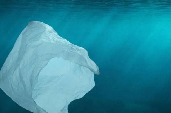 «بيئة
      أبوظبي»
      تدعم
      تنفيذ
      المرحلة
      الثانية
      من
      حظر
      المنتجات
      البلاستيكية