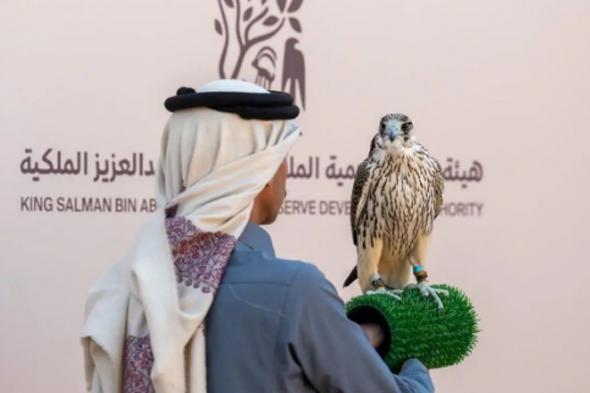 6
    أشواط
    تأهيلية
    للهواة
    المحليين
    في
    اليوم
    السادس
    لمهرجان
    الملك
    عبدالعزيز
    للصقور
    2025