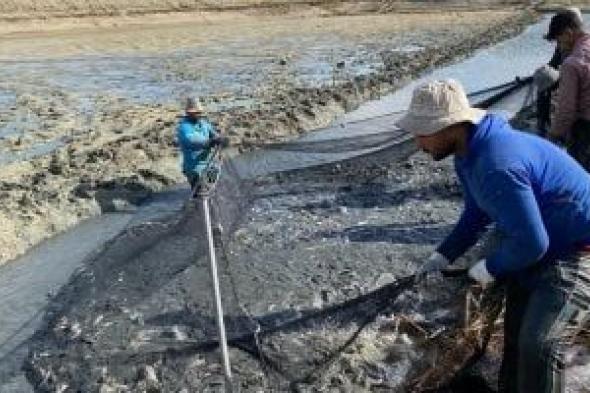 الحبس
والغرامة
عقوبة
إقامة
مزارع
سمكية
على
شبكات
الرى
أو
الصرف
الصحى