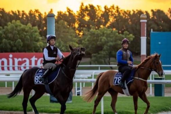 102
      خيل
      في
      سادس
      كرنفال
      سباقات
      دبي
      بمضمار
      ميدان