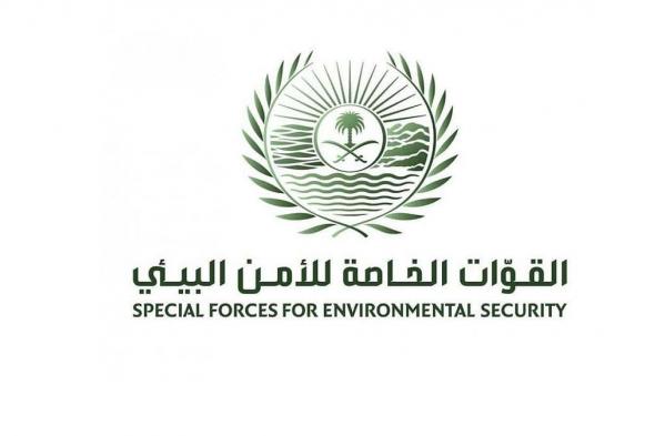 القوات
    الخاصة
    للأمن
    البيئي
    تضبط
    مواطنًا
    مخالفًا
    لنظام
    البيئة
    لنقله
    حطبًا
    محليًا
    في
    منطقة
    الرياض