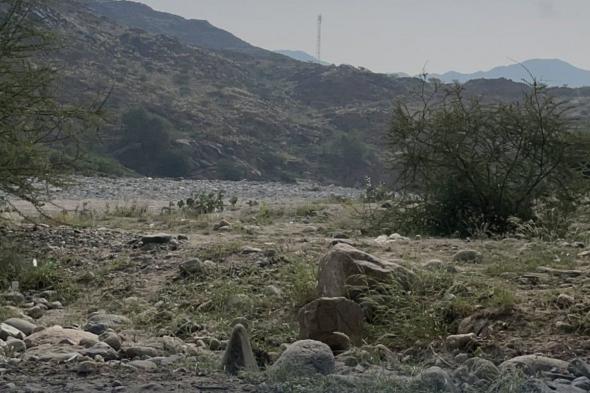 تنبيه
    من
    «الدفاع
    المدني»
    بشأن
    التوجه
    للمناطق
    البرية