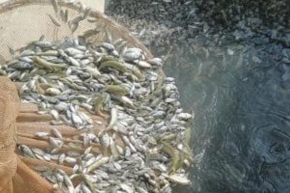 حصاد
الشرقية
2025..
إلقاء
6
مليون
زريعة
أسماك
وحصر
1025
مزرعة
سمكية
و18
مفرخا