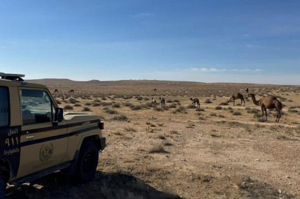 ضبط
    مواطن
    لارتكابه
    مخالفة
    رعي
    في
    محمية
    الملك
    عبدالعزيز
    الملكية