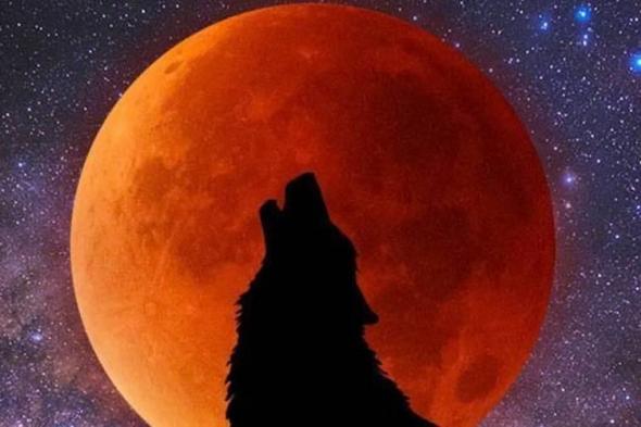 قمر
      الذئب
      العملاق
      يطل
      غداً
      السبت:
      6
      أسباب
      تجعلك
      لا
      تفوت
      مشاهدة
      «سوبر
      موون»