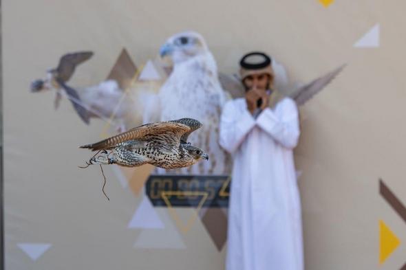 ختام
    منافسات
    الملاك
    الدوليين
    بمهرجان
    الملك
    عبدالعزيز
    للصقور
    2025
