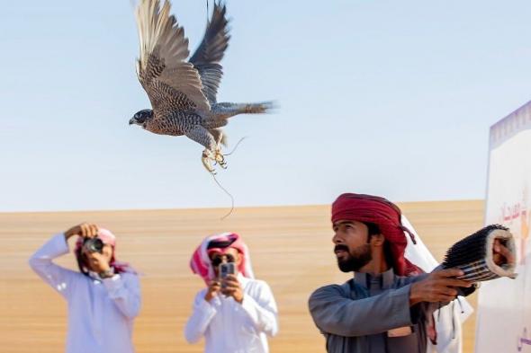 120
    طيرًا
    حرًا
    تتنافس
    في
    مسابقة
    الهدد
    بمهرجان
    شرورة
    الشتوي
    الثامن