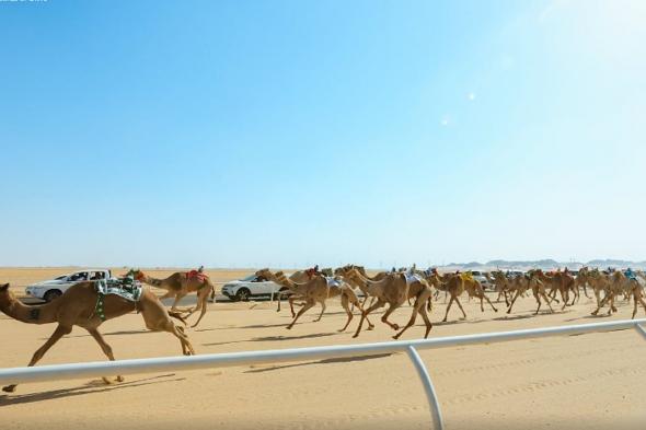 ميدان
    الهجن
    بنجران
    يعلن
    نتائج
    المرحلة
    الأولى
    من
    سباق
    الميادين