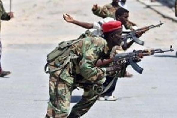 الصومال:
مقتل
أكثر
من
20
عنصرا
إرهابيا
في
عملية
عسكرية
بمحافظة
باي