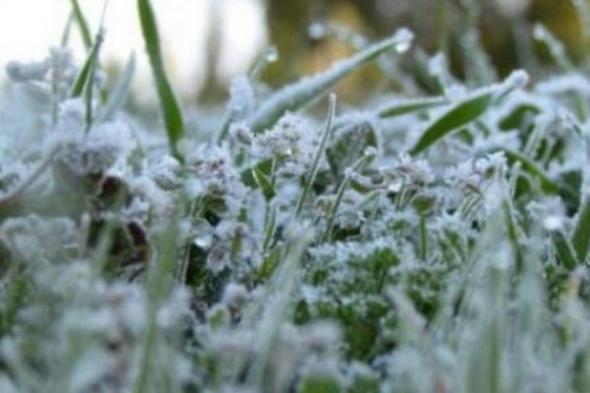 «الإرشاد
    الزراعي»:
    5
    إجراءات
    لتقليل
    آثار
    الصقيع
    على
    المحاصيل