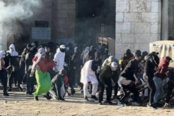 مئات المستوطنين يقتحمون باحات المسجد الأقصى بحماية شرطة الاحتلال