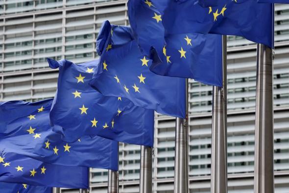 الاتحاد الأوروبي: احترام إرادة الشعب الفنزويلي "الحل الوحيد"