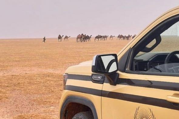 ضبط
    مخالف
    لنظام
    البيئة
    لارتكابه
    مخالفة
    رعي
    بمحمية
    الملك
    عبدالعزيز
    الملكية