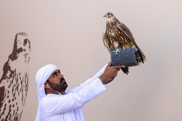 تتويج
12
محترفًا
دوليًّا
بكؤوس
الملك
عبدالعزيز
في
مهرجان
الصقور
2025