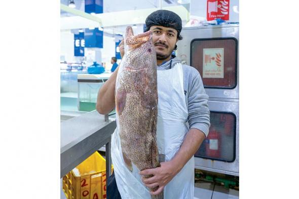 مهرجان المأكولات البحرية في دبي.. رحلة بين الأعماق والنكهات