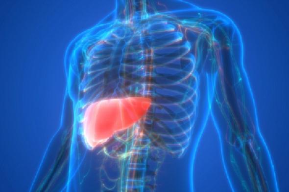 4 نصائح ذهبية للحفاظ على صحة الكبد.. ما تأكله في المقدمة