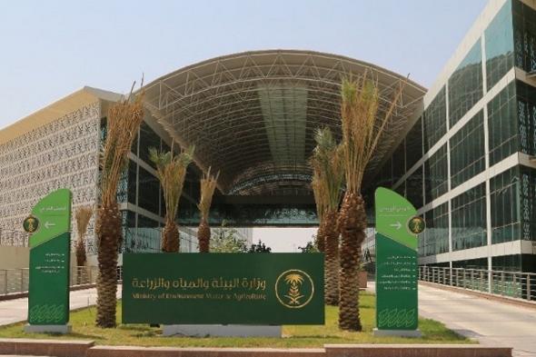 "بيئة
    الرياض"
    تضبط
    أكثر
    من
    4
    أطنان
    دواجن
    مجهولة
    المصدر