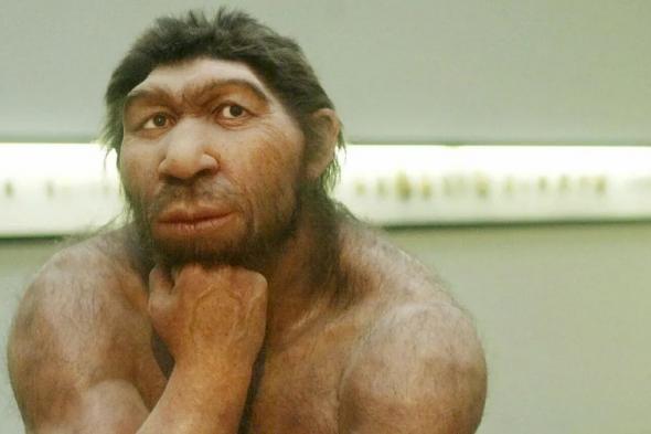 قبل 7 ملايين عام .. هل كان البشر يمشون على قدمين أم يتقافزون على الأشجار ؟