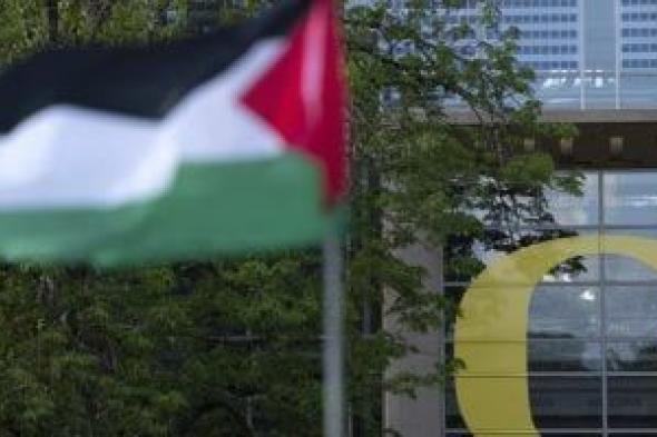افتتاح
سفارة
فلسطين
في
لندن
عقب
اعتراف
بريطانيا
الرسمي
بالدولة