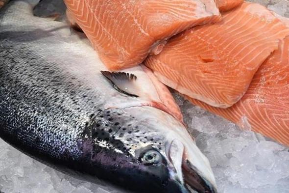 أغذية صديقة للقلب.. كيف تحقق أفضل استفادة من «أوميجا 3»؟