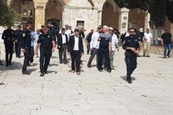 مستوطنون
يحطمون
شواهد
قبور
إسلامية
فى
القدس