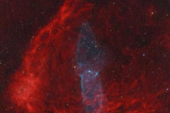 «الختم»
      ينجح
      في
      تصوير
      سديم
      خافت
      بعد
      محاولات
      18
      شهراً