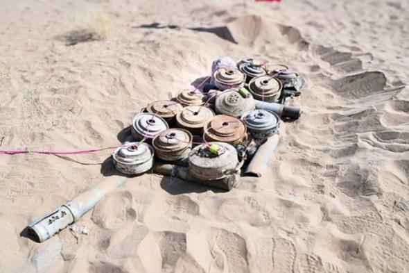 «مسام»
    ينزع
    736
    لغمًا
    من
    الأراضي
    اليمنية
    خلال
    أسبوع