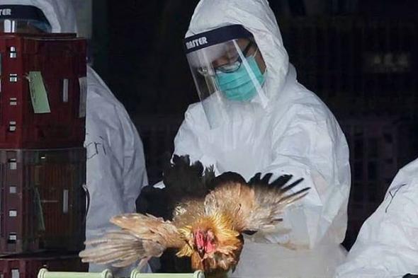 إسرائيل
    تبلغ
    عن
    تفشي
    سلالة
    H5N1
    لإنفلونزا
    الطيور
    في
    مزرعة