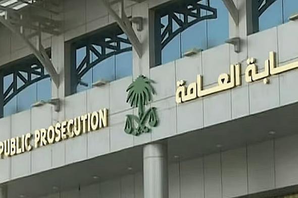 النيابة
    العامة:
    جريمة
    التحرّش
    الإلكتروني
    تشمل
    الأفعال
    المرتكبة
    بوسائل
    تقنية
    حديثة