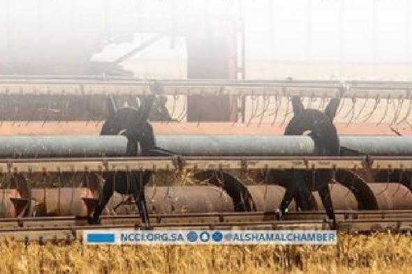 تمديد
    فترة
    تسليم
    نماذج
    حرث
    الأراضي
    البعلية
    بالحدود
    الشمالية