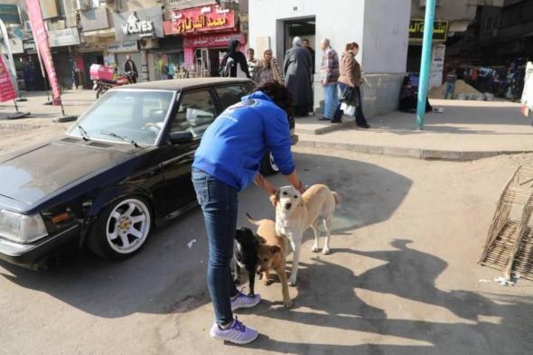 مصر
      تبدأ
      حملة
      شاملة
      لتعقيم
      وتحصين
      الكلاب
      الضالة