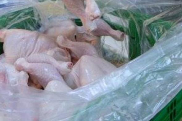 «بيئة
    الرياض»
    تضبط
    أكثر
    من
    4
    أطنان
    من
    الدواجن
    مجهولة
    المصدر