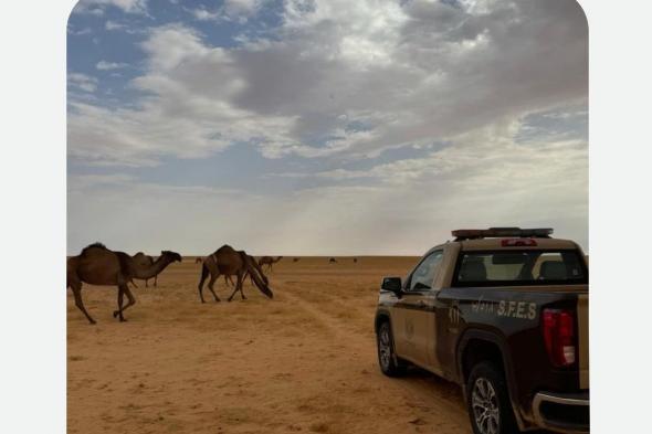 ضبط
مواطن
رعى
8
أمتان
من
الإبل
في
محمية
الملك
عبدالعزيز