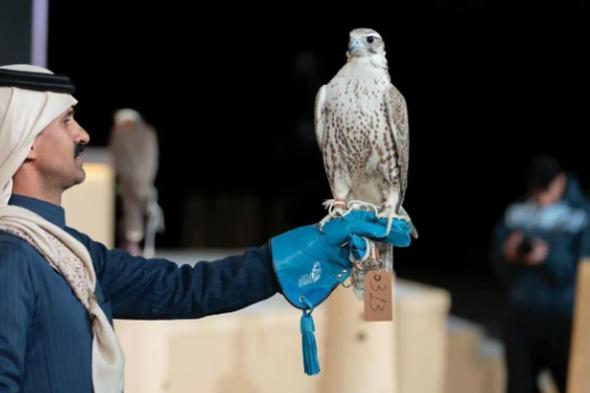 «مزاين
    الصقور»
    تختتم
    ثاني
    أيامها
    بـ3
    أشواط
    في
    مهرجان
    الملك
    عبدالعزيز
    2025