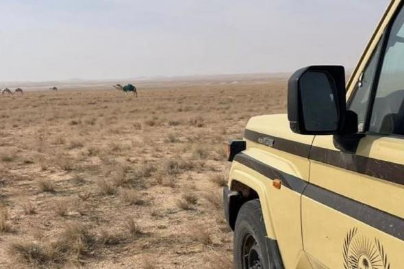 ضبط
    مواطن
    لارتكابه
    مخالفة
    الرعي
    بمحمية
    الملك
    عبدالعزيز
    الملكية